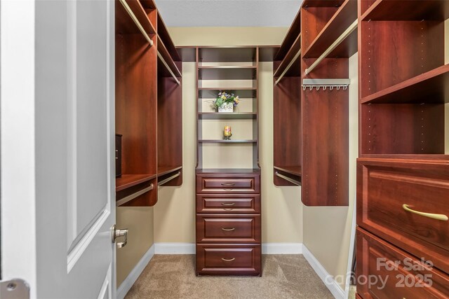 spacious closet featuring carpet flooring