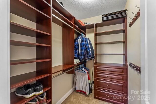 walk in closet with light carpet