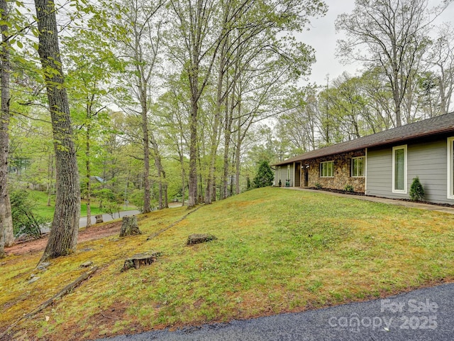 4 Highlander Rd, Asheville, NC 28804 - photo 4