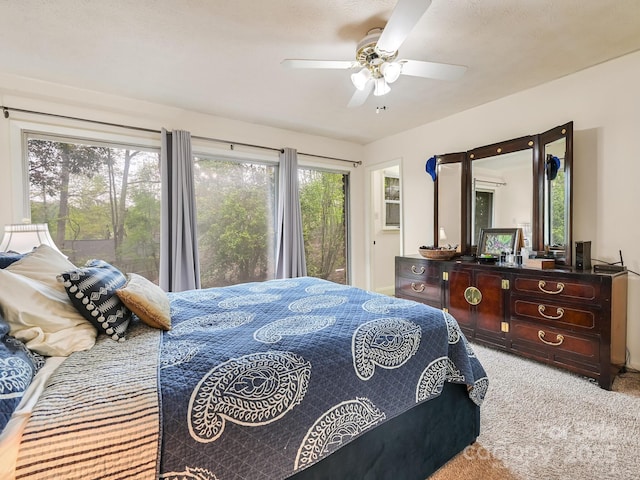 4 Highlander Rd, Asheville, NC 28804 - photo 23
