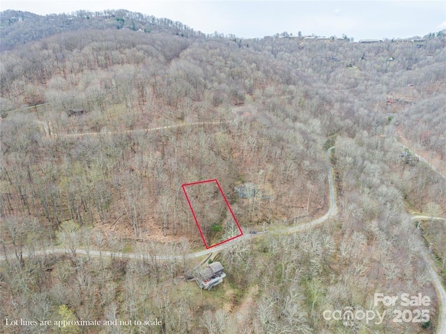 00 Puncheon Ln Unit 149, Mars Hill, NC 28754