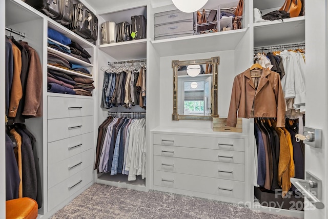 1550 High St, Charlotte, NC 28211 - view of walk in closet