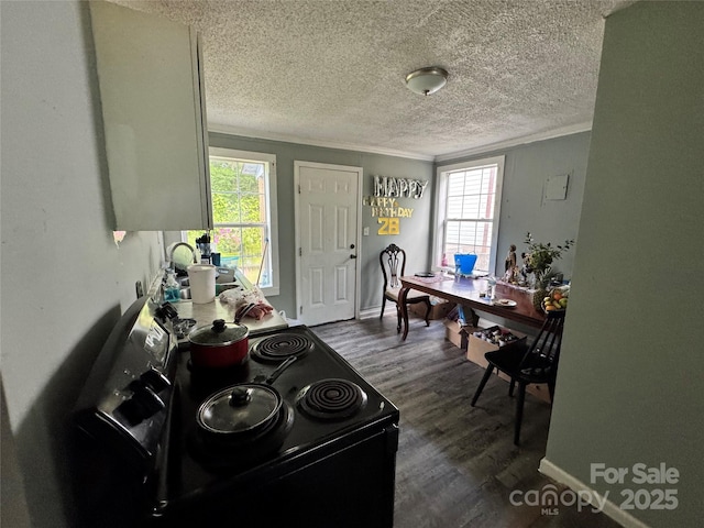 336 Hamilton Dr NE, Concord, NC 28025 - kitchen featuring electric range, ornamental molding, a healthy amount of sunlight, and a sink