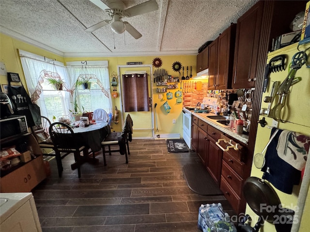 336 Hamilton Dr NE, Concord, NC 28025 - kitchen with crown molding, ceiling fan, light countertops, dark wood finished floors, and white electric range