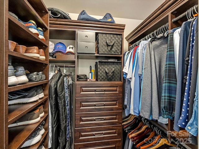 view of spacious closet