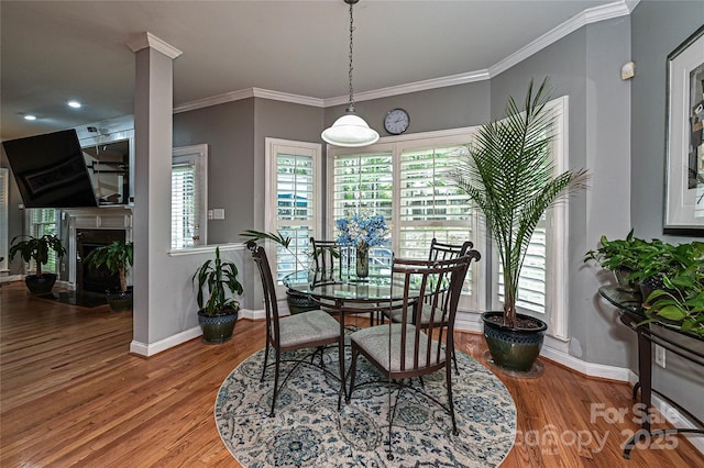 11232 Tradition View Dr, Charlotte, NC 28269 - dining space featuring baseboards, wood finished floors, crown molding, and a fireplace