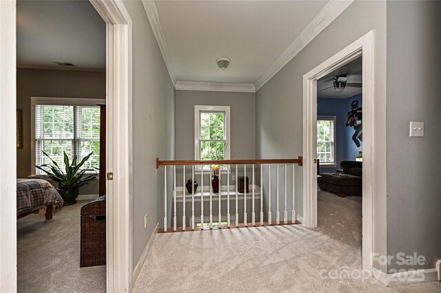 11232 Tradition View Dr, Charlotte, NC 28269 - corridor with carpet, healthy amount of natural light, crown molding, baseboards, and an upstairs landing