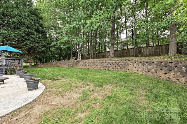 11232 Tradition View Dr, Charlotte, NC 28269 - view of yard