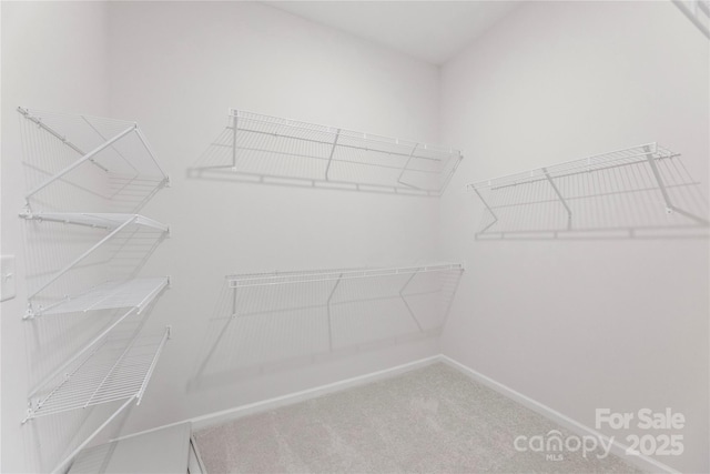 329 Brambling Ct, Wesley Chapel, NC 28110 - walk in closet featuring carpet flooring