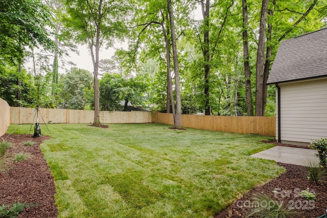 1807 Arnold Dr, Charlotte, NC 28205 - view of yard