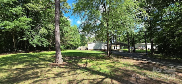 view of yard with a detached carport