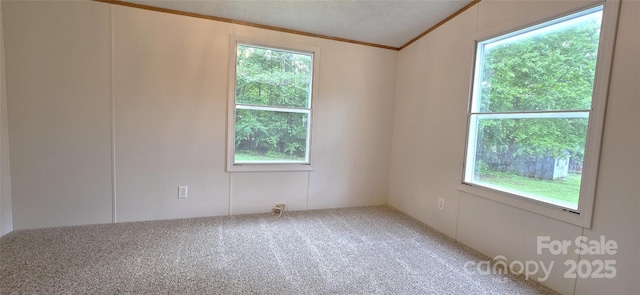 unfurnished room featuring carpet, a healthy amount of sunlight, and ornamental molding