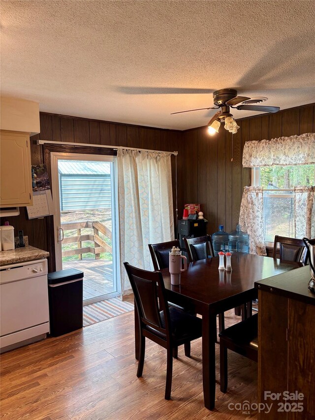 dining room with light wood-style floors, wooden walls, ceiling fan, and a textured ceiling