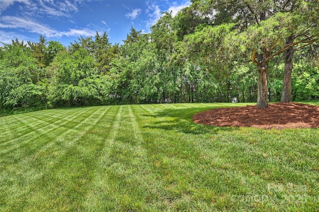 6723 Joliette Ln, Charlotte, NC 28277 - view of grassy yard with a forest view