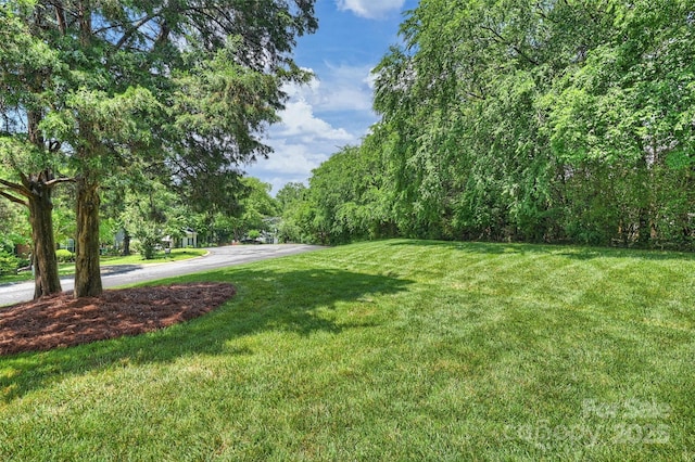 6723 Joliette Ln, Charlotte, NC 28277 - view of grassy yard
