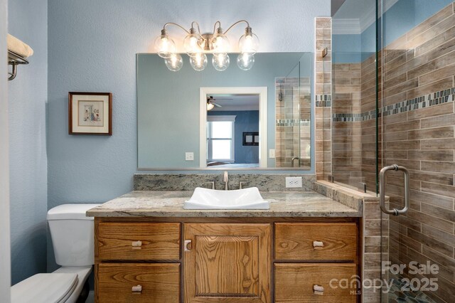 85 Laurel Cove Rd, Candler, NC 28715 - bathroom with a stall shower, vanity, toilet, and ceiling fan