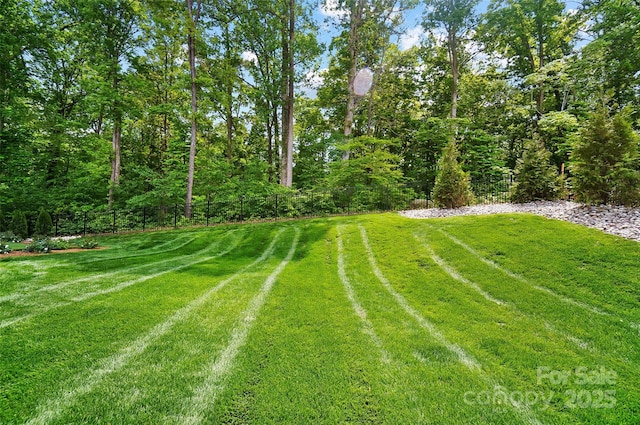 13106 Bien Ct, Huntersville, NC 28078 - photo 43