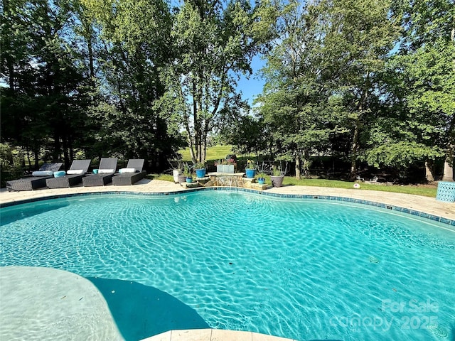 19409 Laurel Glen Ave, Cornelius, NC 28031 - view of outdoor pool
