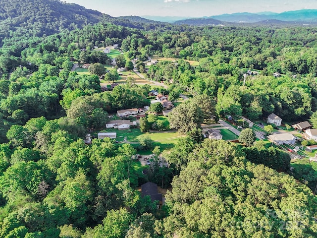 9 Silent Pl, Asheville, NC 28806 - photo 6