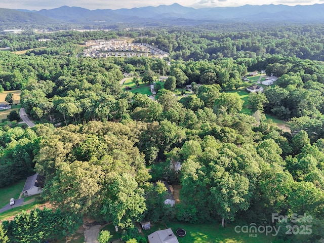 9 Silent Pl, Asheville, NC 28806 - photo 39