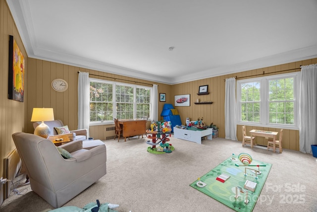 100 Poplar Spring Trl, Hendersonville, NC 28739 - rec room with ornamental molding, healthy amount of natural light, radiator heating unit, carpet, and wood walls