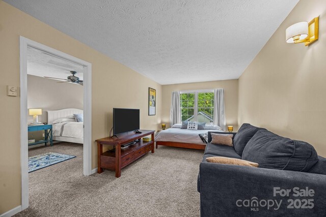 100 Poplar Spring Trl, Hendersonville, NC 28739 - living area with a textured ceiling, carpet floors, and a ceiling fan