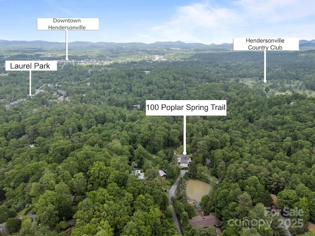 100 Poplar Spring Trl, Hendersonville, NC 28739 - exterior view of a forest and a mountain backdrop