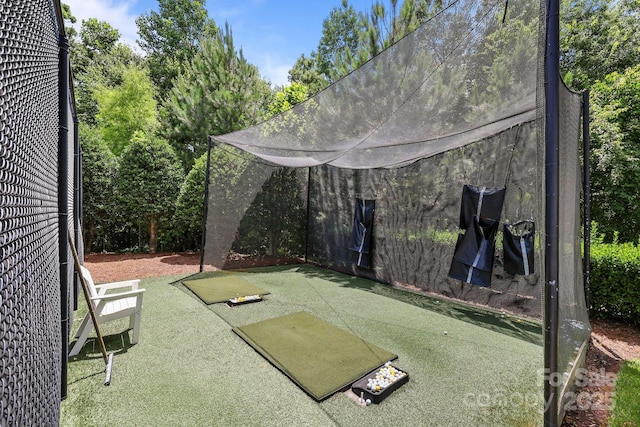 11621 Mount Argus Dr, Cornelius, NC 28031 - view of yard