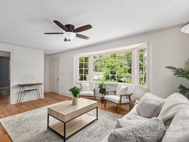 21 Clairmont Ave, Asheville, NC 28804 - living area with a ceiling fan, crown molding, wood finished floors, and baseboards