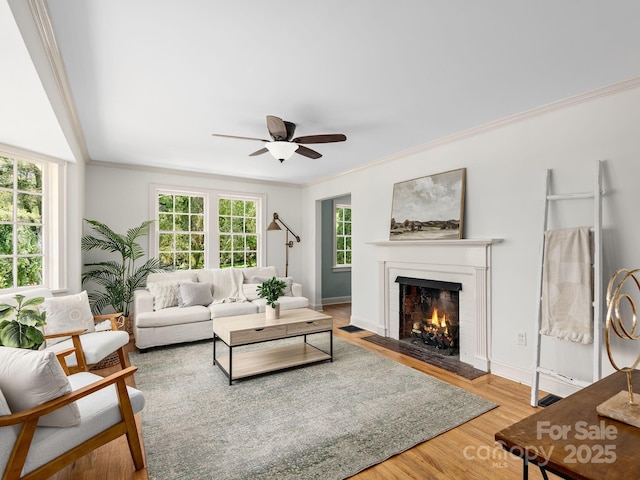 21 Clairmont Ave, Asheville, NC 28804 - living room featuring crown molding, a fireplace with flush hearth, a ceiling fan, wood finished floors, and baseboards
