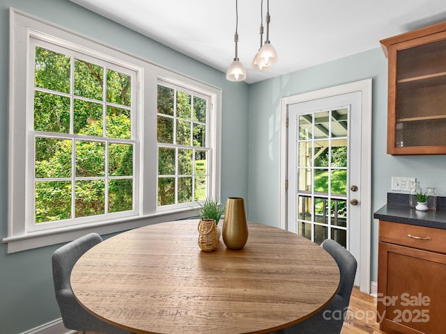 21 Clairmont Ave, Asheville, NC 28804 - dining room with light wood finished floors and baseboards
