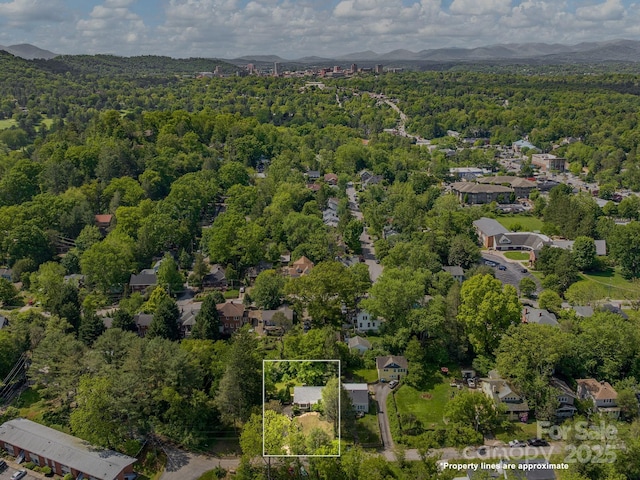 21 Clairmont Ave, Asheville, NC 28804 - photo 19