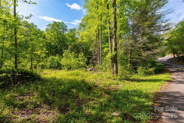 4659 Cedar Brook Ln Unit 16, Nebo, NC 28761