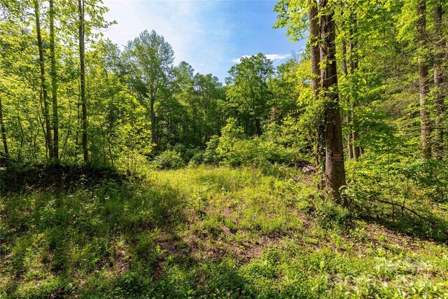 4659 Cedar Brook Ln Unit 16, Nebo, NC 28761