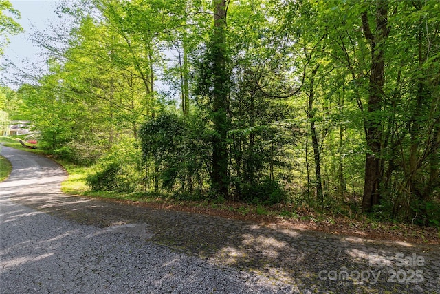 4659 Cedar Brook Ln Unit 16, Nebo, NC 28761