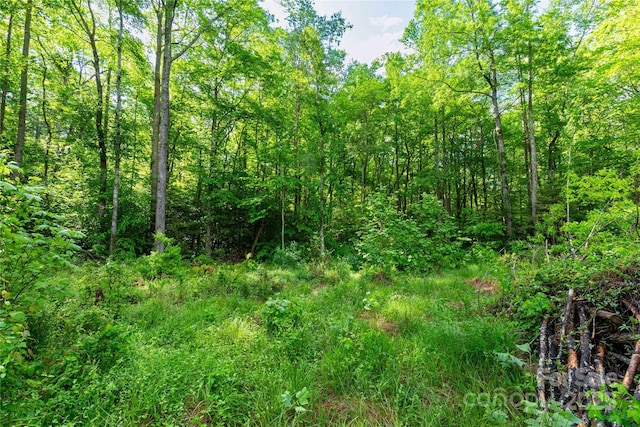 4659 Cedar Brook Ln Unit 16, Nebo, NC 28761