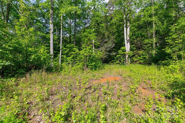 4659 Cedar Brook Ln Unit 16, Nebo, NC 28761
