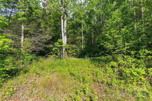 4659 Cedar Brook Ln Unit 16, Nebo, NC 28761