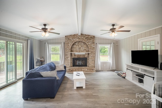 1211 Mirror Park Dr, Salisbury, NC 28146 - living area featuring light wood-style floors, plenty of natural light, and a ceiling fan