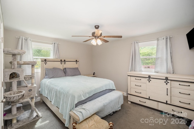1211 Mirror Park Dr, Salisbury, NC 28146 - carpeted bedroom featuring multiple windows and ceiling fan