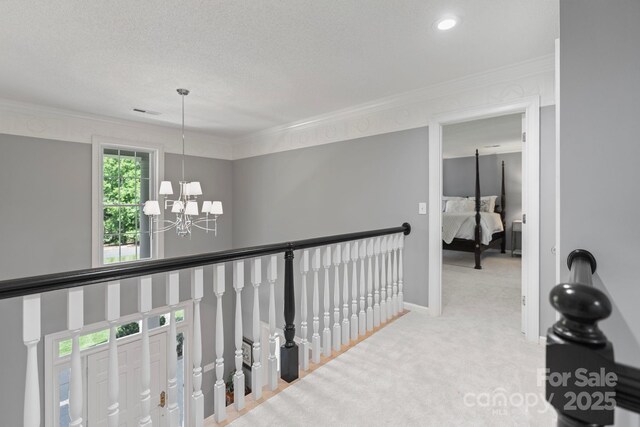 1721 White Pond Ln, Waxhaw, NC 28173 - corridor with a chandelier, crown molding, carpet floors, a textured ceiling, and baseboards
