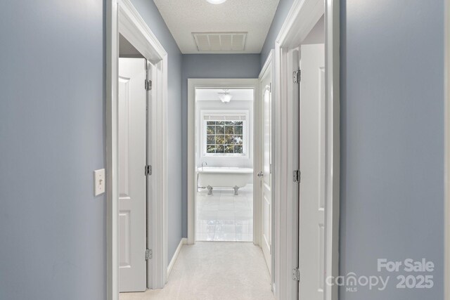 1721 White Pond Ln, Waxhaw, NC 28173 - hallway with light carpet and baseboards