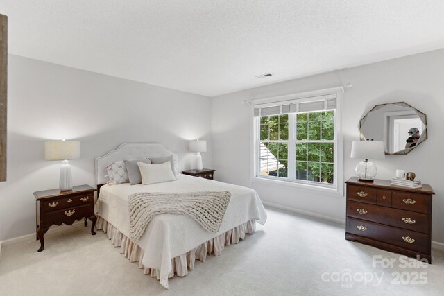 1721 White Pond Ln, Waxhaw, NC 28173 - bedroom with light colored carpet and baseboards