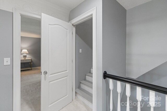 1721 White Pond Ln, Waxhaw, NC 28173 - stairway with carpet