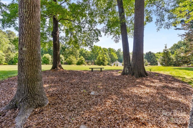 1721 White Pond Ln, Waxhaw, NC 28173 - view of undeveloped land