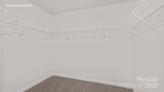 spacious closet with carpet flooring