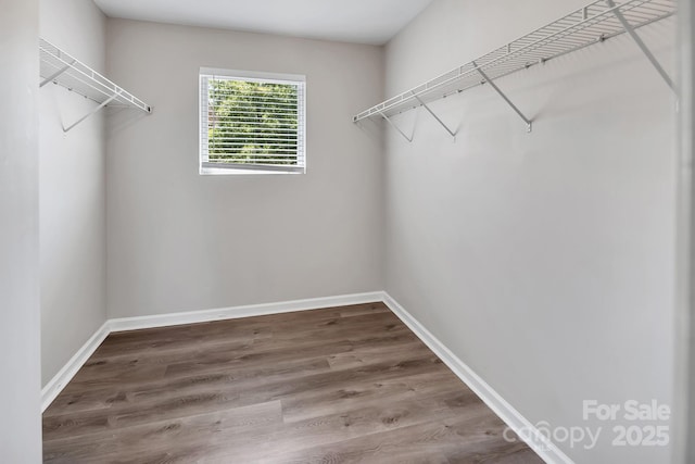 spacious closet featuring wood finished floors