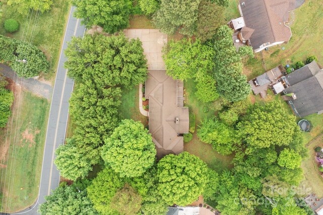 bird's eye view