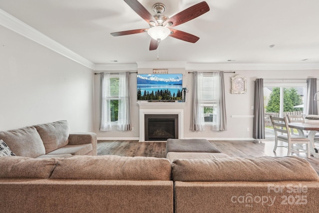 living room featuring wood finished floors, crown molding, a ceiling fan, and baseboards