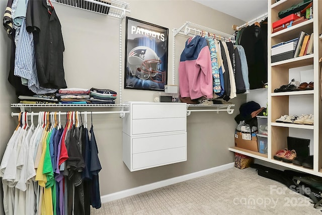 walk in closet featuring carpet floors